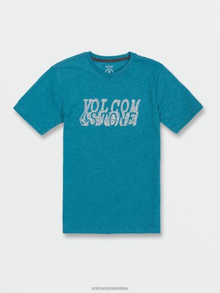 camiseta de manga corta correlator brezo verde azulado Z44ZX1142 ropa Niños